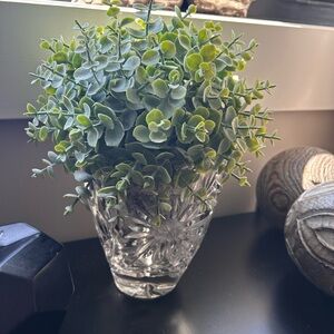 Elegant Greenery in Crystal Vase